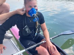 whatsapp image 2025-11-15 at 14.31.59